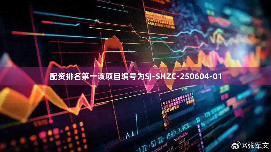 配资排名第一该项目编号为SJ-SHZC-250604-01
